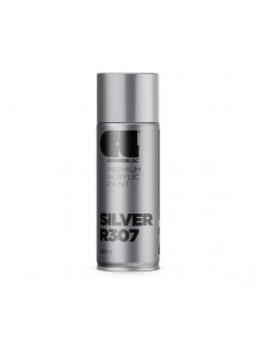 Ral Silver - R 307 – Silver